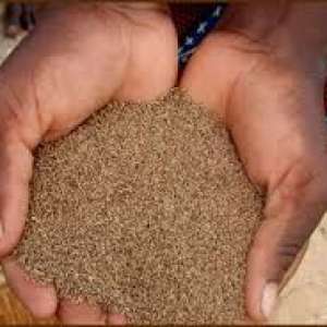 Les propriétés nutritive du Fonio